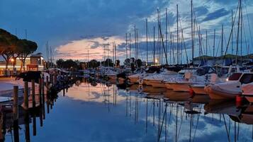 Vista desde la propiedad