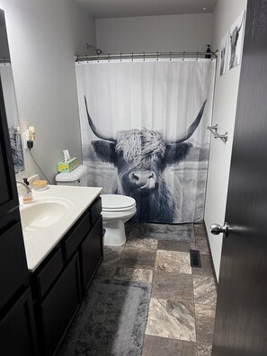 Douche, serviettes fournies, papier toilette
