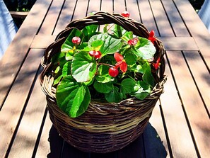 Apartment | Interior - Apartments Vera - Comfort One-bedroom Apartment With Terrace and Sea View (Mljet)