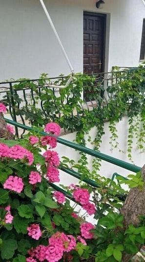 Detalle exterior