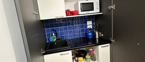 Frigorífic, microones, placa de cuina i cafetera i tetera