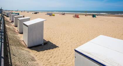 Cosy Holiday Home on the Dunes