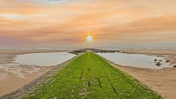 House | View from property