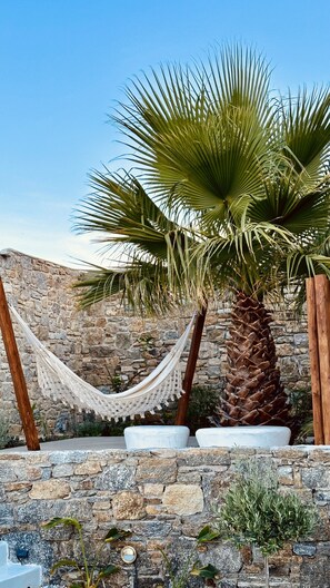 Exterior detail - Myconian Theros (Mykonos)