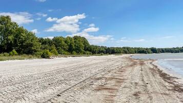 A sandy beach with tire tracks leading to the water, surrounded by dense green trees under a clear sky.