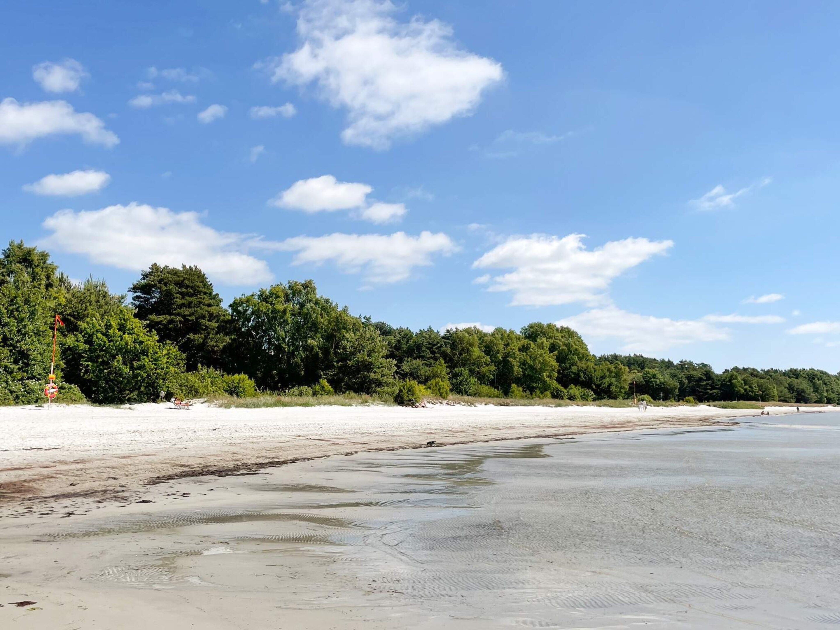 En strand med klar himmel, träd i bakgrunden och en sandstrand.