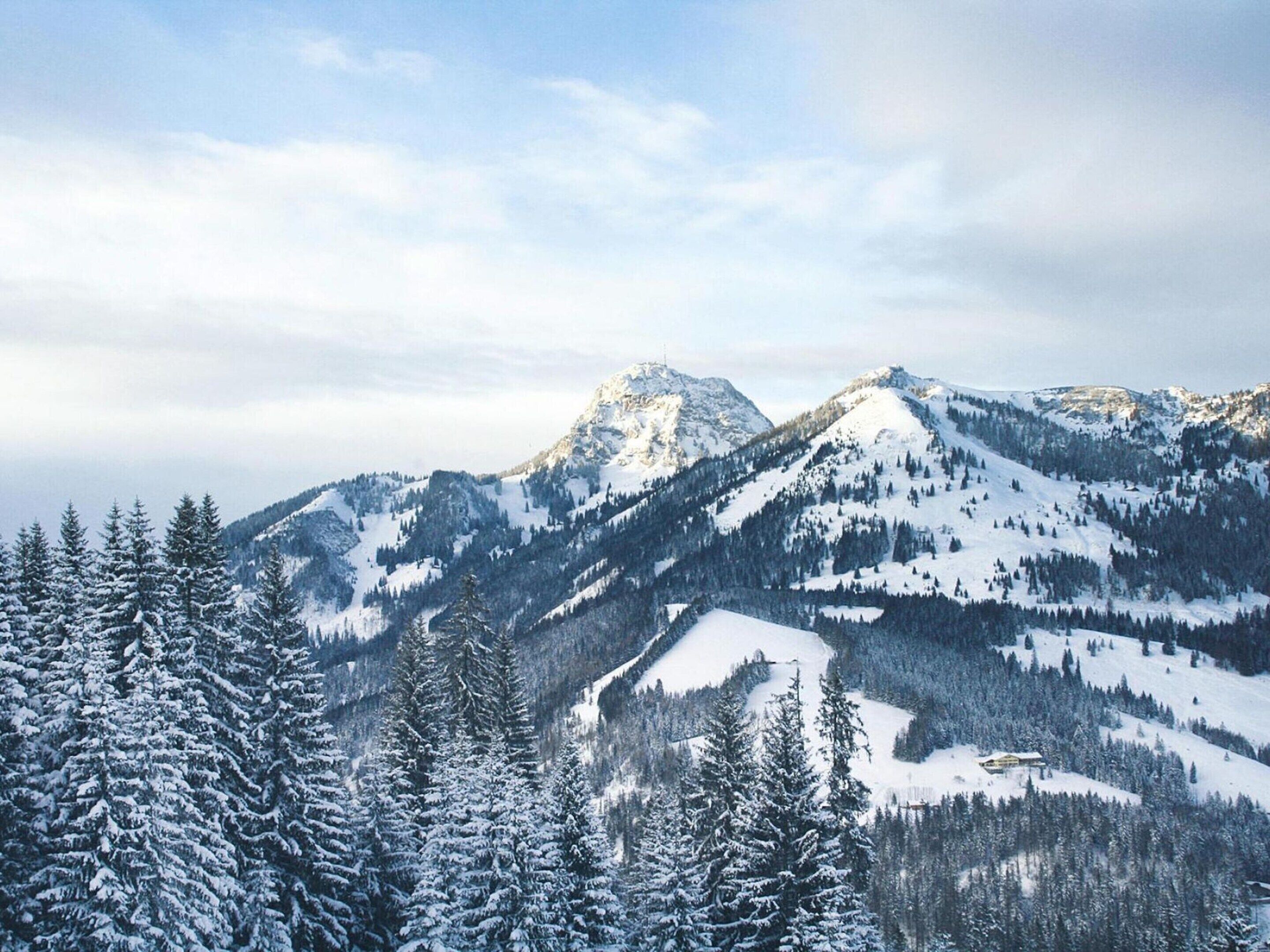 Eine Berglandschaft mit schneebedeckten Bäumen und blauem Himmel.
