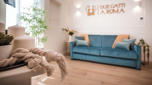 A modern living room with a blue sofa, a decorative rope, a potted plant, and a wall sign reading "DUE GATTI A ROMA". - Cozy apartment with terrace suitable for families up to 6 people  (Roma)