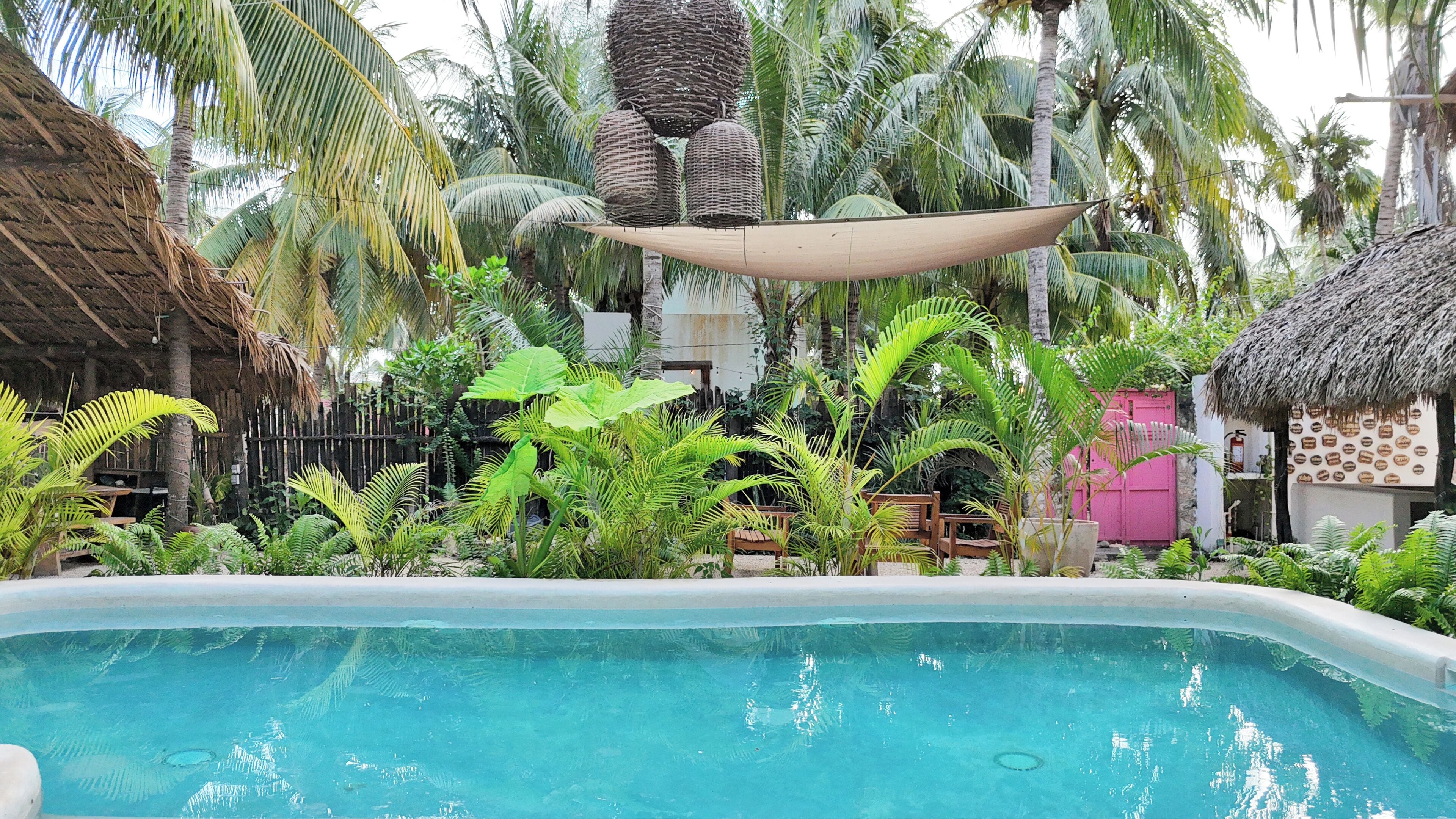 Hồ bơi ngoài trời 