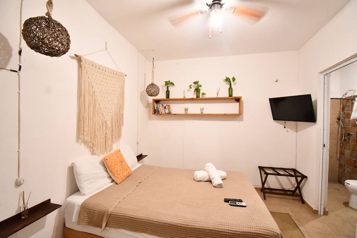 Un dormitorio con cama, ventilador de techo, televisor montado en la pared y una estantería con plantas y libros.