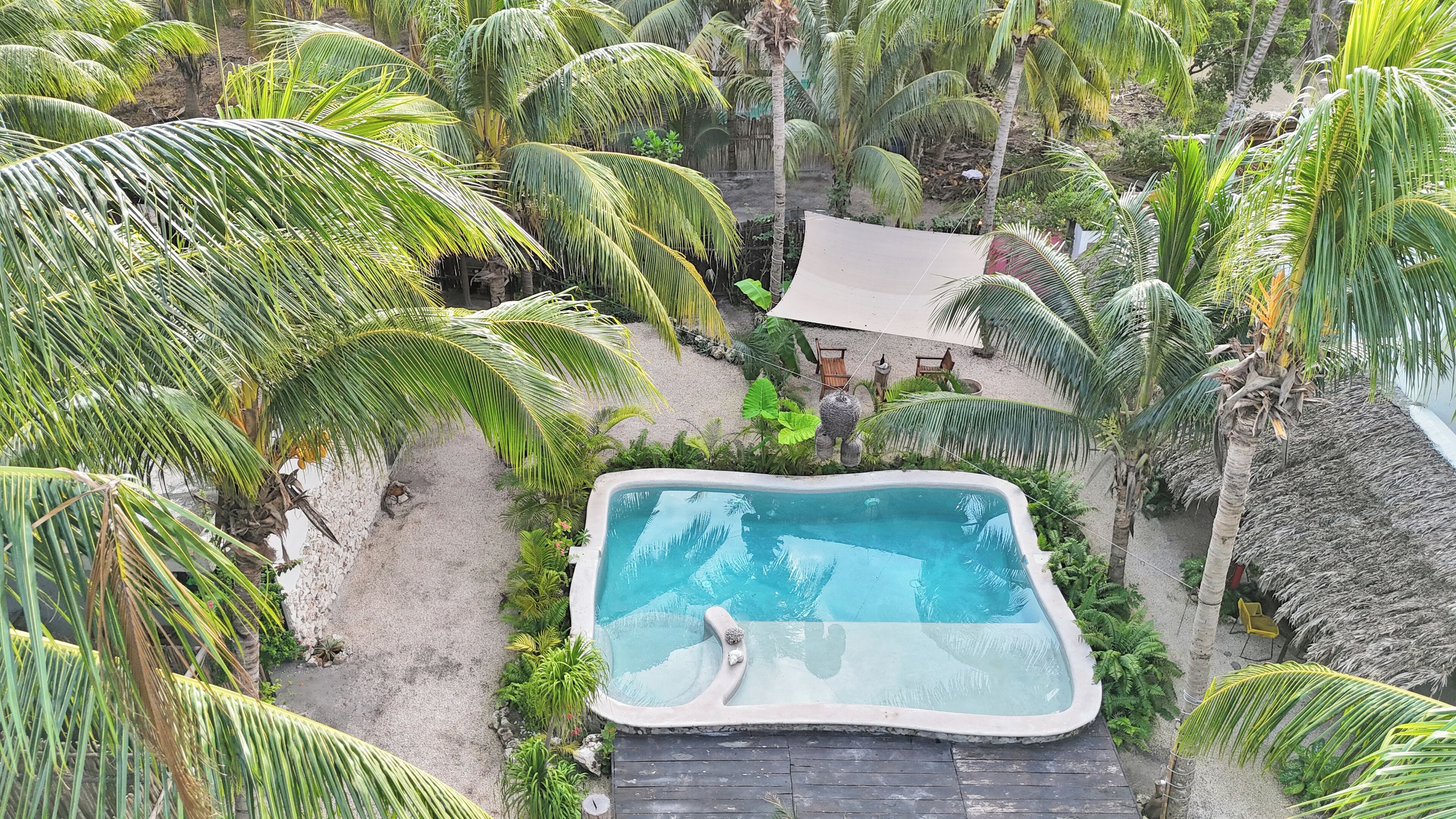 Vista aérea de uma piscina privativa rodeada por palmeiras exuberantes e vegetação tropical.