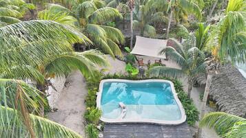 Vista aérea de uma piscina privativa rodeada por palmeiras exuberantes e vegetação tropical.