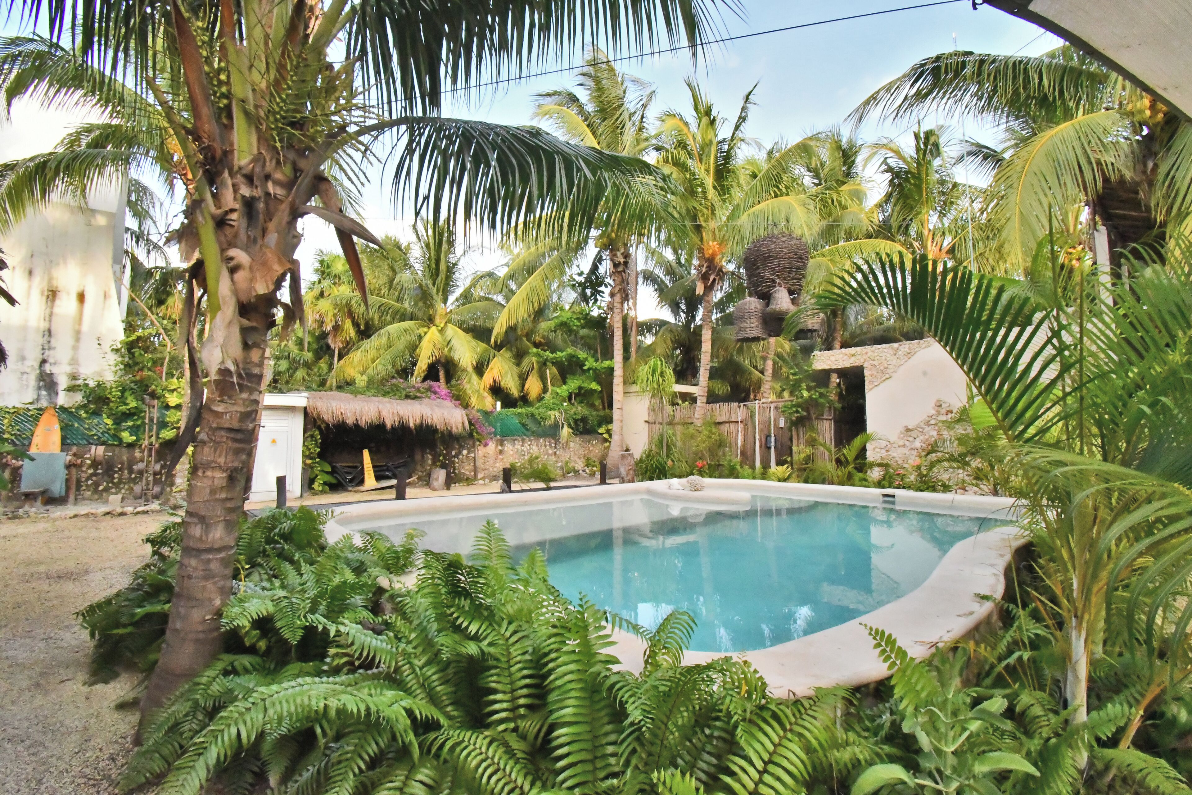 A swimming pool surrounded by lush greenery and palm trees.