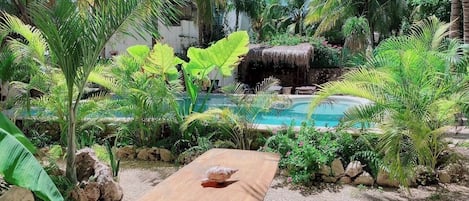 Piscine extérieure