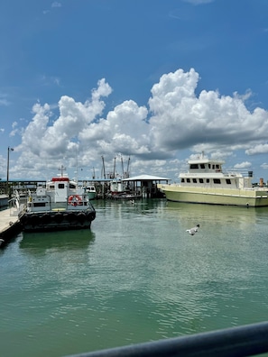 Port de plaisance