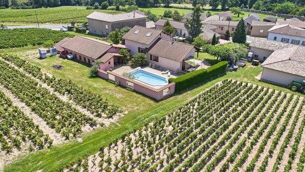 An aerial view of a vineyard with rows of grapevines, a swimming pool, and residential buildings with tiled roofs. - Gîte "domaine Gilles Coperet" (REGNIE DURETTE)