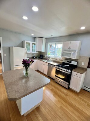 Kühlschrank, Ofen, Herdplatte, Geschirrspüler