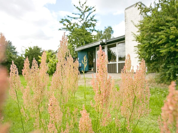 A building with a modern design, surrounded by a grassy area with tall flowering plants. - 4 Person Holiday Home in Frorup (Frørup)