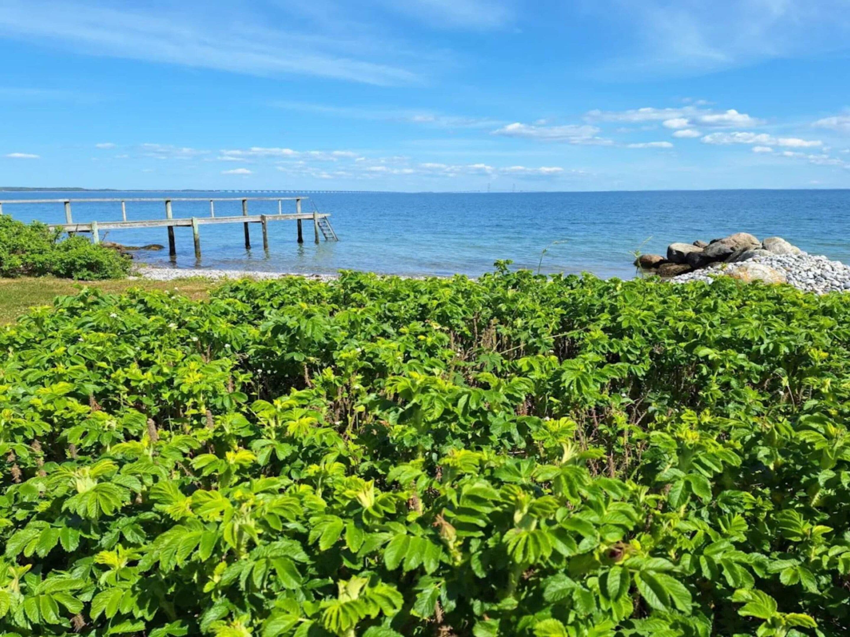 Paisaje costero con un puente, vegetación exuberante y cielo despejado.