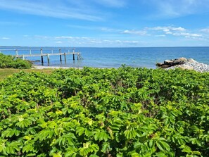 Landskab ved kysten med en bro, frodig vegetation og en klar himmel.