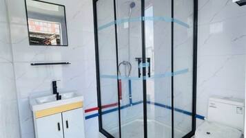 Shower, towels, toilet paper