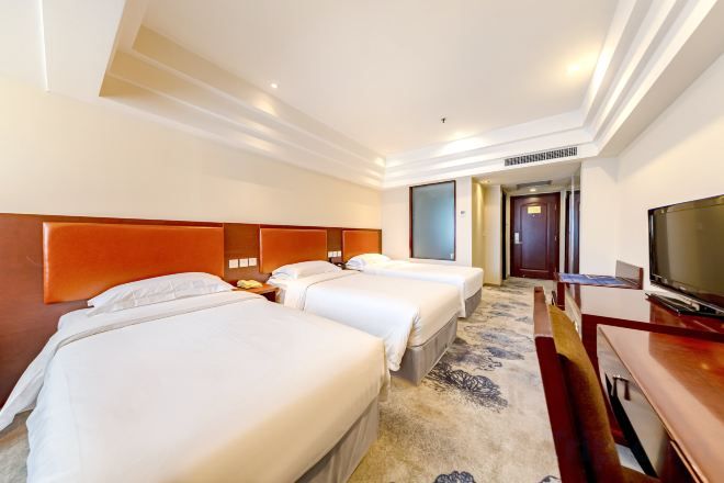 A hotel room with three beds, a television, and a carpeted floor.