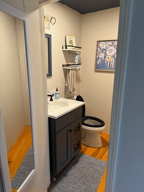 Shower, hair dryer, soap, shampoo - Lake Cottage - Put your Feet up and Relax! (Moultonborough)