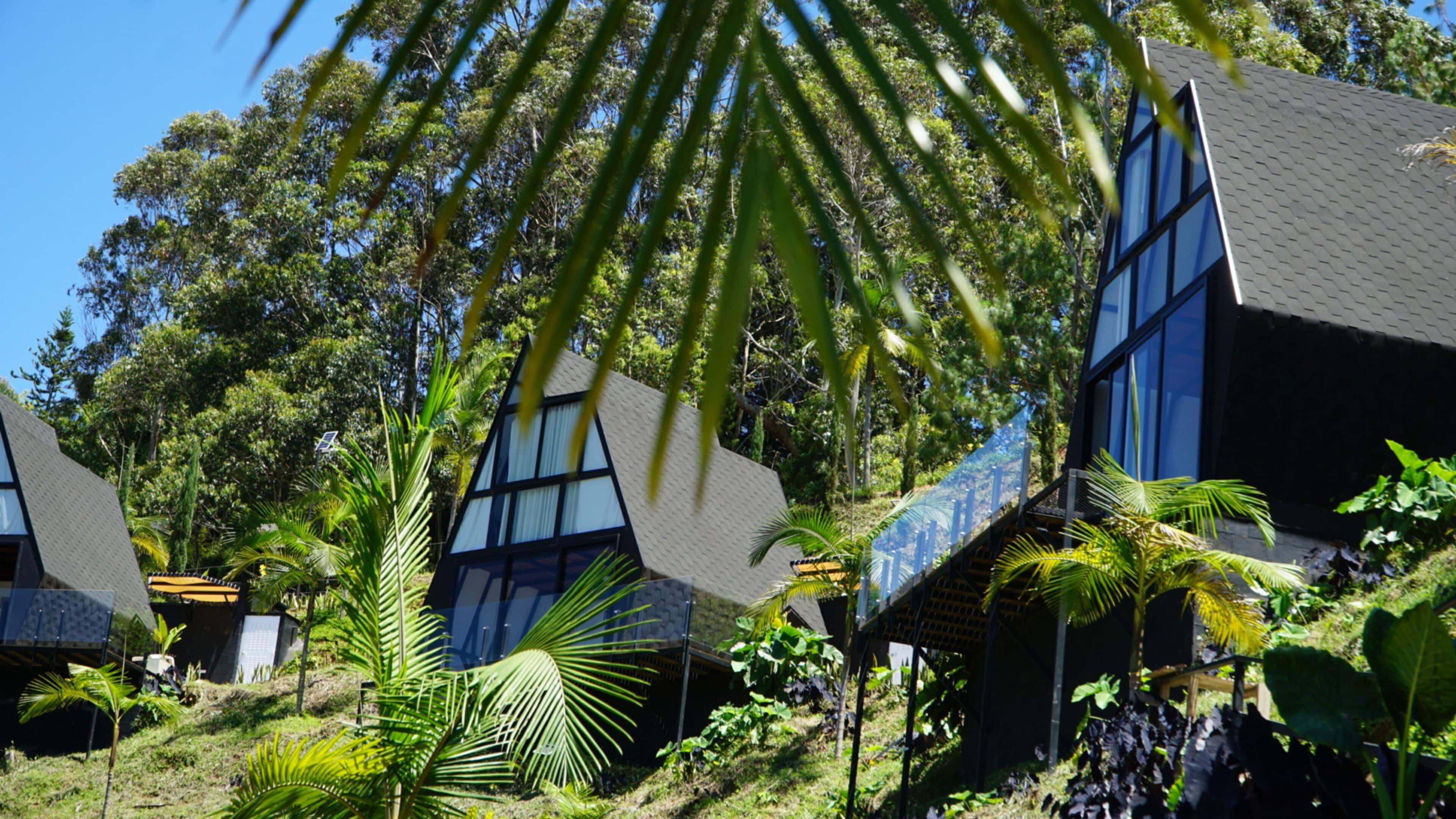 Un edificio moderno con un diseño triangular distintivo, rodeado de abundante vegetación y palmeras.