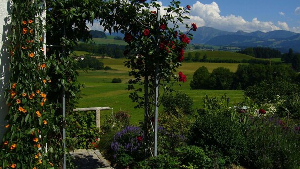Ein Garten mit einem gepflasterten Weg, der zu einer Holzhütte führt, umgeben von üppiger Vegetation und Blick auf sanfte Hügel und Berge.