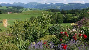 Ein malerischer Blick auf eine Landschaft mit sanften Hügeln und einer fernen Bergkette.