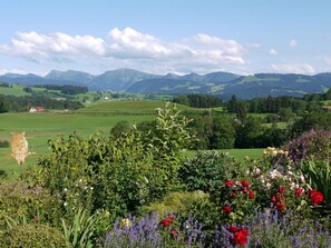 Vista des de l'allotjament