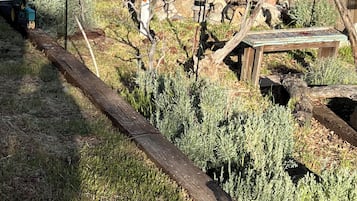 Jardín