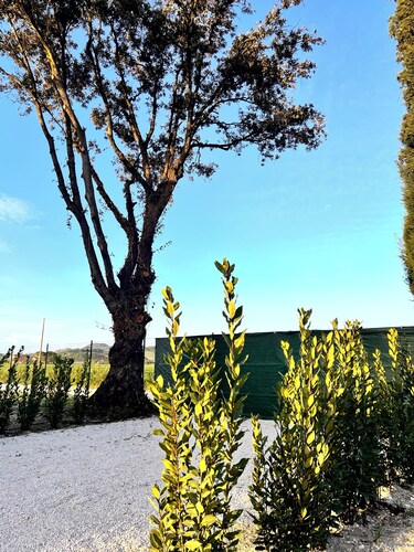 3 Bedroom Apartment in Casenuove