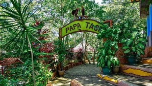 Garden - RedDoorz Plus @ Papa Tasie Camotes (San Francisco)