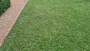 Une pelouse bien entretenue, agrémentée d’un chemin en briques et de diverses plantes.