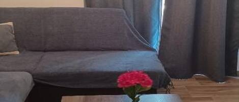 Leilighet | Oppholdsområde | Flatskjerm-TV