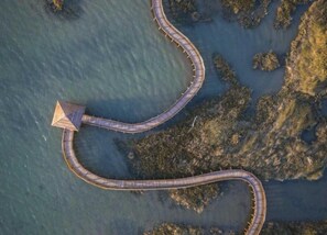 House | View from property - Escape Steps From the Sand (Rosolina)