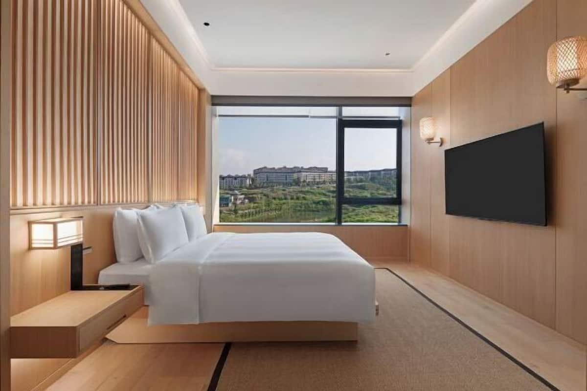 A modern bedroom with a large bed, a TV mounted on the wall, and a view of buildings through the window.