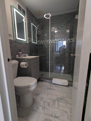 Secador de cabelo, sabonete, shampoo, papel higiênico