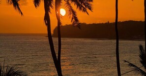 Suite | Miscellaneous