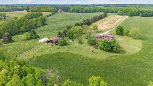 Unclassified image, 1 of 50, button