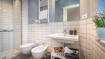 Shower, hair dryer, bidet, towels