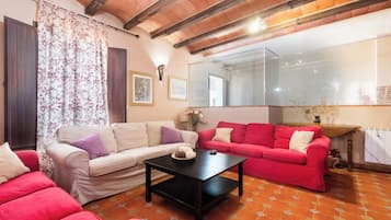 TV, fireplace, DVD player