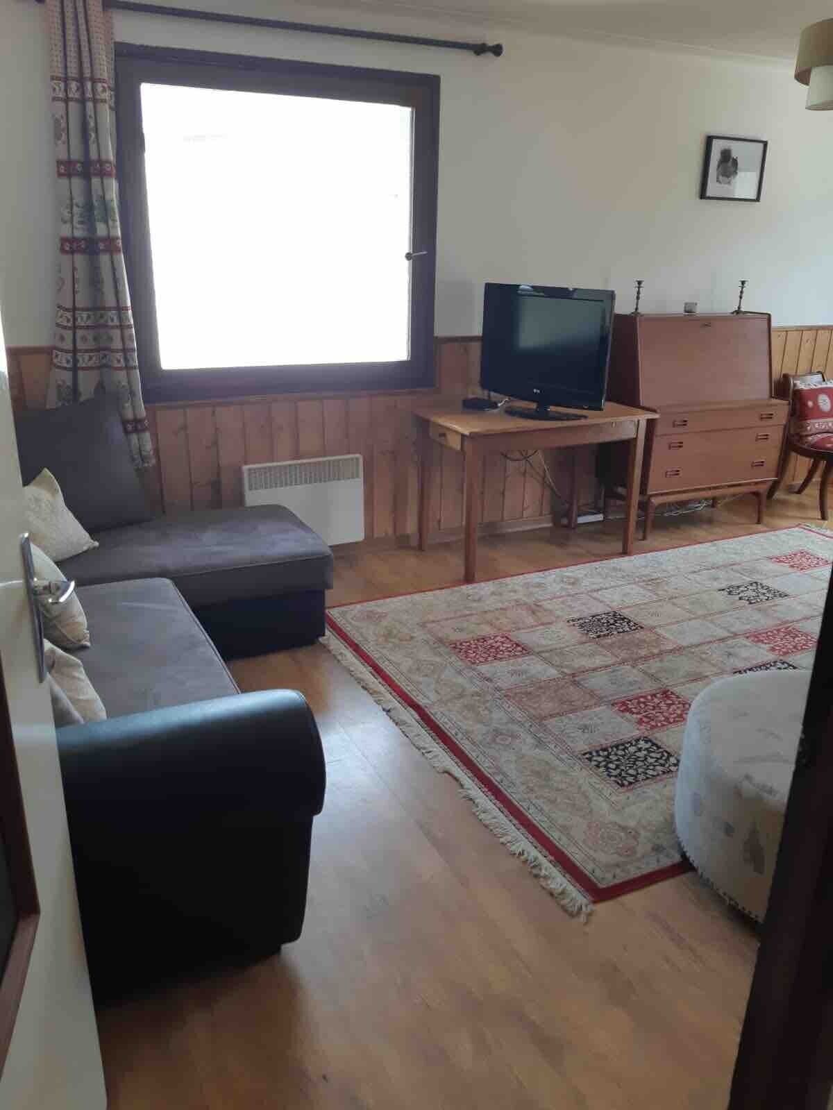 A room with a sofa, a television on a wooden desk, a dresser, and a patterned rug.