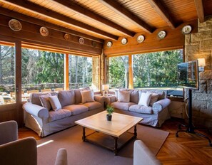 Tv, eldstad, dvd-spelare och ett bordtennisbord