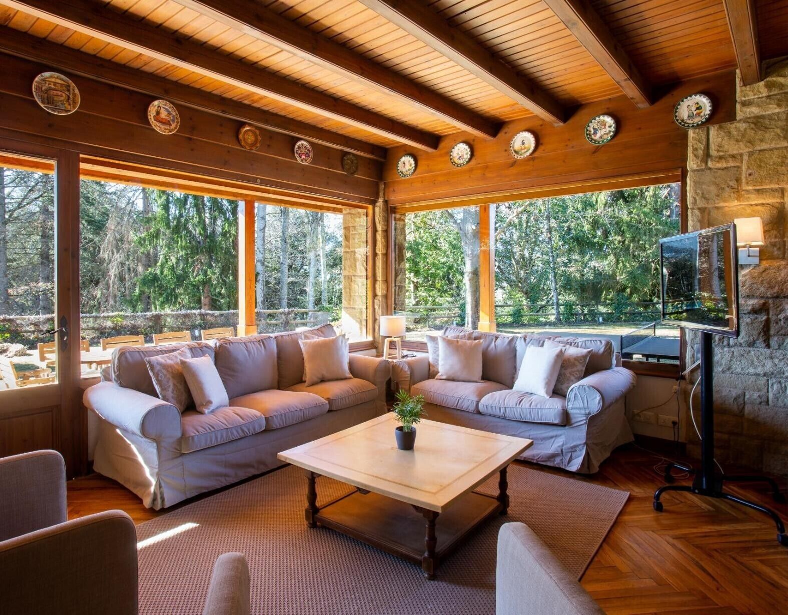 TV, fireplace, DVD player, table tennis