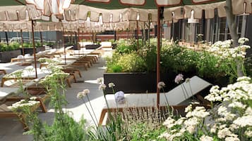Mobiliario exterior con sombrillas, sillones de relax y plantas en macetas.