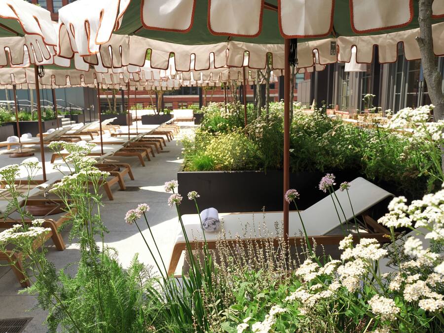 Mobiliario exterior con sombrillas, sillones de relax y plantas en macetas.