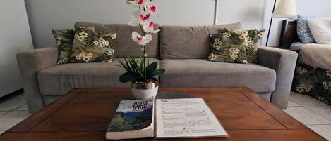 تلفزيون ذكي