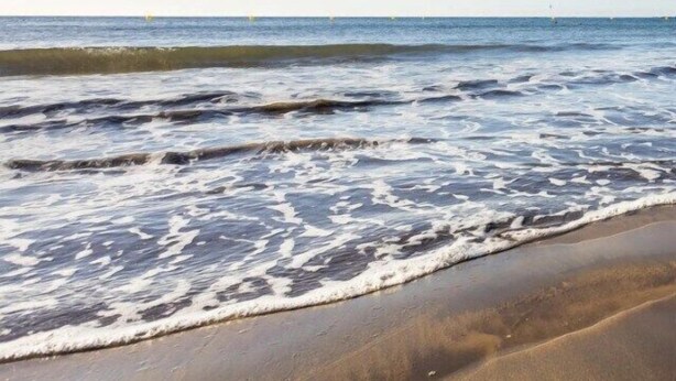 A beach with waves gently lapping onto the shore. - Home2Book Cozy Apt 2 Min From La Garita Beach (La Garita)